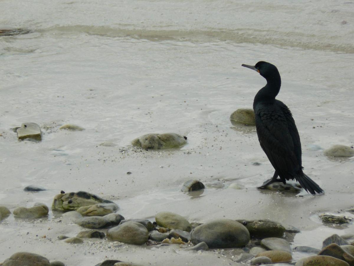 House Of 2 Oceans Appartement Agulhas Buitenkant foto