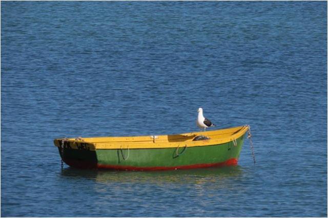 House Of 2 Oceans Appartement Agulhas Buitenkant foto