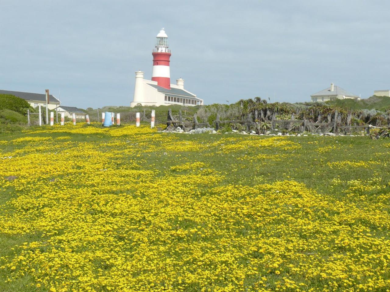 House Of 2 Oceans Appartement Agulhas Buitenkant foto